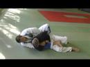 Back-mount BJJ & MMA Instructionals(taking back to arm-trapping) Back-mount BJJ & MMA Instructionals(taking back to arm-trapping)