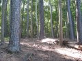 PMB Maryland Chapter at Patapsco and Lochraven