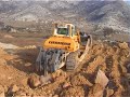 Liebherr PR 764