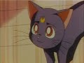 190. El pasado de Seiya, Taiki y Yaten. Parte 1