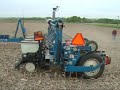 planting soybeans with a kinze 3600 16/31 row planter (15