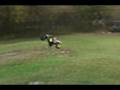 videos de RC Bash Trailer