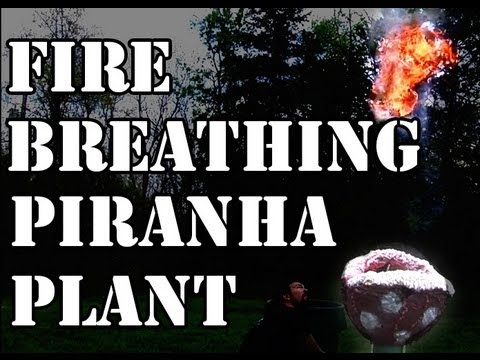 how to grow over 6 feet tall