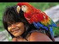 videos de Putis is back - Video PRESERVE A NATUREZA