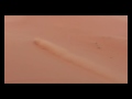Baja SS Cruising on Dunes