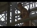 song by chitose hajimemovie by azumii like this music .