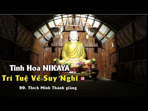 Tinh Hoa NIKAYA – Trí Tuệ Về Suy Nghĩ 1B