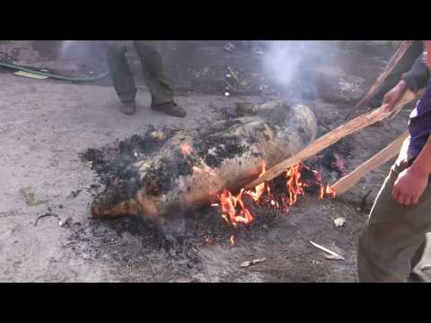 Burn the pigs (Lugu Lake, China)
