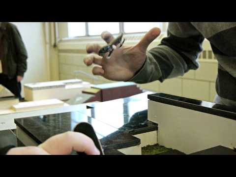 FlatFace Fingerboards Store Session #4 - December 22