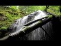 The San Juan Islands and Beyond - YouTube