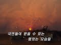 South Korean Army