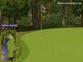 Golden Tee Great Shot on Sunny Wood!