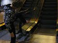 alison climbs over laser