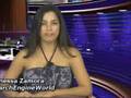 SearchEngineUpdate-w