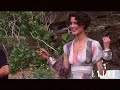 Shalom-Harlow-Swept-
