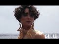 Shalom-Harlow-Swept-