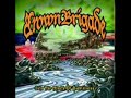 Brown Brigade- Relaxation Plantation