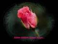 AHMET �AFAK YABAN G�L�