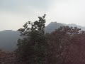 Golden Earing @ Chinese Wall