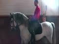 addestramento del cavallo parte seconda-francesco vedani
