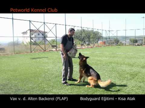 alman kurt k-9