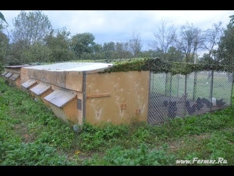 Устройство птичника. Вариант для тёплого климата. ЛПХ Дядя Фёдор - RepeatYT - Twoje utwory w petli!