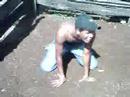 kokinho vaqueiro