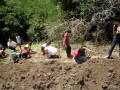 videos de Plantio de Árvores no Rio Formiga em Ortigueira, Paraná. Ação conjunta da Copel, Eletrosul e Governo do Município de Ortigueira para o programa de implantação da Usina Mauá.