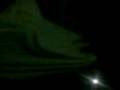 videos de penjaga pulau rimau-real