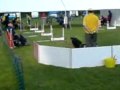 title="Flyball