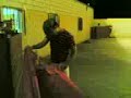 Torero de bandera