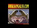 Kangal delmenhorst