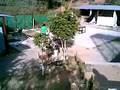 videos de cedart 