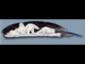 videos de Hand Painted Feathers (Circle of Light) Heartfelt