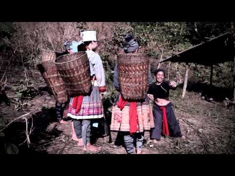 hmoob - This film based on a true story about 1000 years ago. A girl from the cannibal village married a young man from another group. The love became well known as...