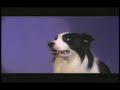 Eukanuba World Challenge Animal Planet TV show Eukanuba World Challenge Animal Planet TV show