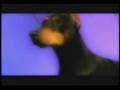Eukanuba World Challenge Animal Planet TV show