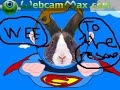 Super Bunny to the rescue!!