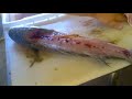 MULLET.mp4