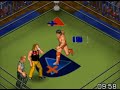FIRE PRO RETURNS: Chris Hero Vs. Kenta Kobashi  (Video Game)