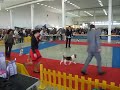 Nitra-2008. Beagle Club Show