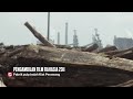 Asia Pulp and Paper terbukti menggunakan kayu Ramin dalam produksi kertasnya. Ramin adalah jenis kayu yang dilindungi hukum dan tidak boleh ditebang sembarangan. Jangan biarkan APP terus menghancurkan kekayaan alam hutan Indonesia kita hanya untuk kertas kemasan. www.greenpeace.org