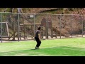 Click here to watch this video 淡路でおばあちゃんとみえちゃんとテニス(3歳1か月)