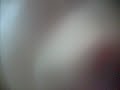 the ghost of fascism