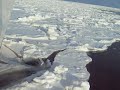 ???????? Abashiri Drift ice