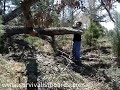 Cutting up some firewood Cutting up some firewood