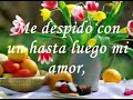 NUNCA CAMBIES-JOSE MARIA NAPOLEON NUNCA CAMBIES-JOSE MARIA NAPOLEON