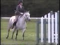 Dustbunny over fences 1