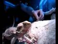 videos de Fat Boy ZIGGY eating !