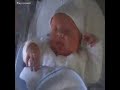 francisquito
